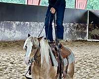 athletic-pony