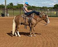 kid-safe-pony