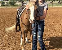 lesson-pony