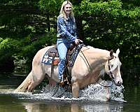 bombproof-quarter-horse