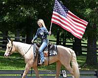 western-quarter-horse