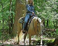 athletic-quarter-horse