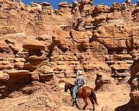 142h-horse