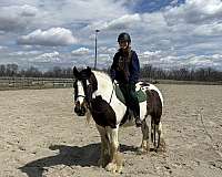 one-blue-eye-mare