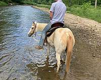 blue-eyed-paint-pony