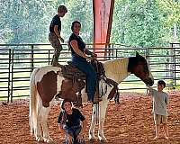 athletic-mustang-horse