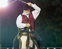 husband-safe-mustang-horse