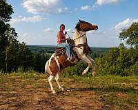 jumping-mustang-horse