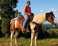 lesson-mustang-horse