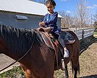 star-left-hind-pastern-white