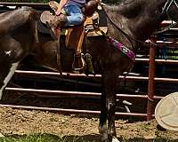 children-paint-horse
