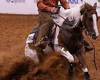 trail-riding-paint-horse