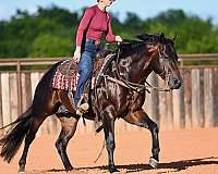 flashy-quarter-horse