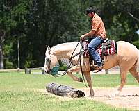 trail-riding-quarter-horse