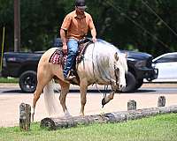 western-riding-quarter-horse
