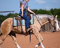 ranch-versatility-quarter-horse