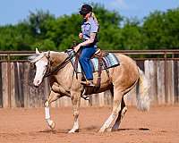 reining-quarter-horse