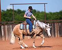 roping-quarter-horse