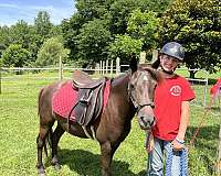 cross-youth-pony