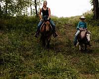 tovero-kid-safe-pony