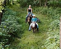 tovero-lesson-pony