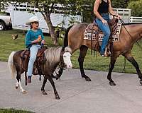 tovero-pony-club