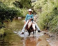 tovero-ridden-western-pony