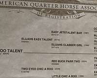 working-cow-quarter-horse