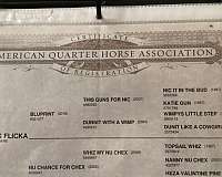 barrel-racing-quarter-horse
