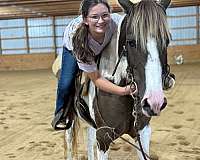 advanced-beginner-spotted-pony