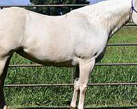 pennin-mare