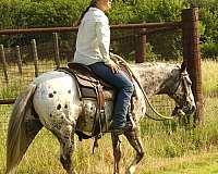 kid-safe-poa-pony