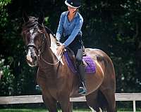 athletic-draft-horse