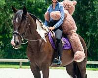 playday-draft-horse
