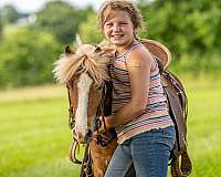 beginner-pony