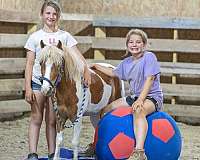 trail-riding-pony