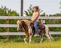 youth-pony