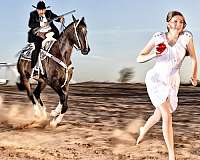 companion-thoroughbred-horse