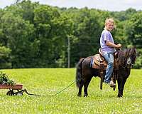 black-wite-spots-pony