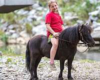 kid-safe-pony