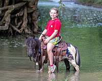 harness-pony