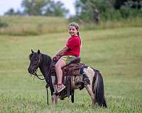 kid-safe-pony