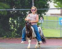 trail-pony