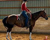 white-spot-on-left-hindquarter-horse