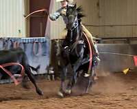 breakaway-rope-horse