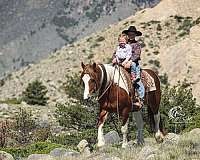 beginner-draft-horse