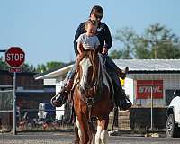 ranch-draft-horse