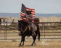 kid-safe-quarter-horse