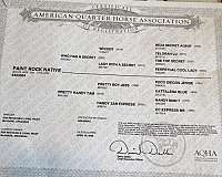 athletic-quarter-horse