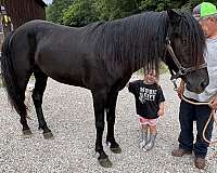 none-horse